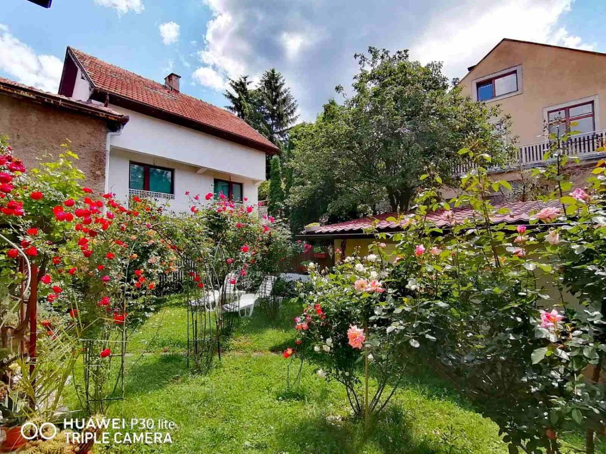 Отель Modern&Cozy Bosnian House With Garden+Free Parking Сараево Экстерьер фото